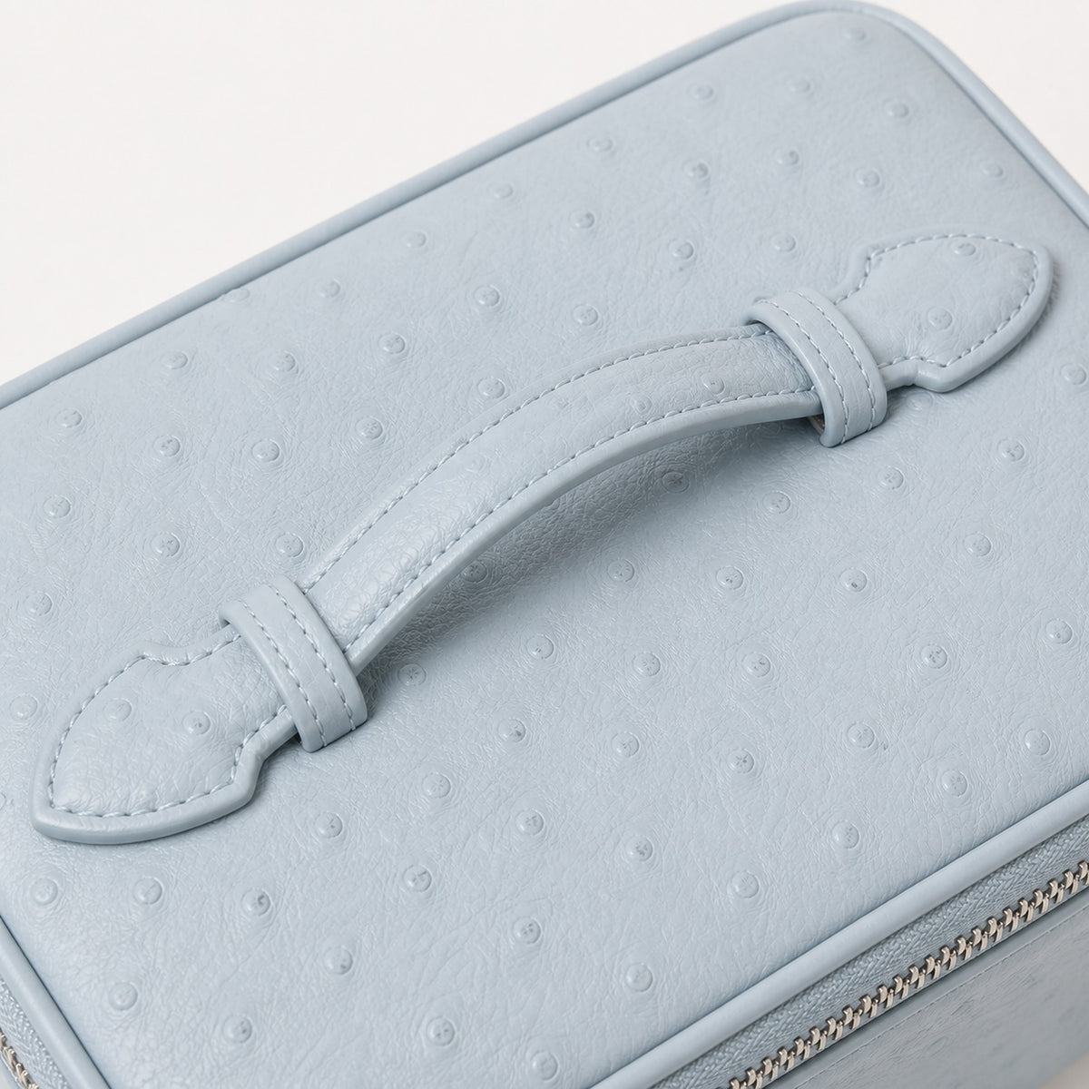 Ostrich Vanity Case Haze Blue